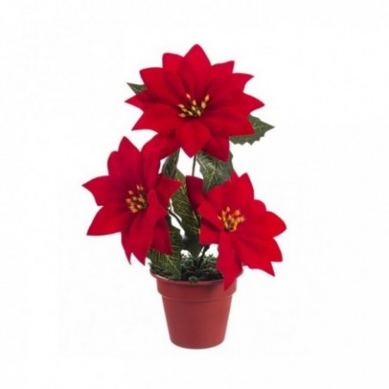 MACETA POINSETTIA 20CM.
