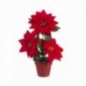 MACETA POINSETTIA 20CM.