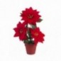 MACETA POINSETTIA 20CM.