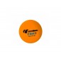 PACK 72 PELOTAS PING PONG P-BALL ABS EVOLUTION 1* CORNILLEAU